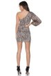 Cora zebra print dress