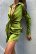 Ruby grass shirt dress